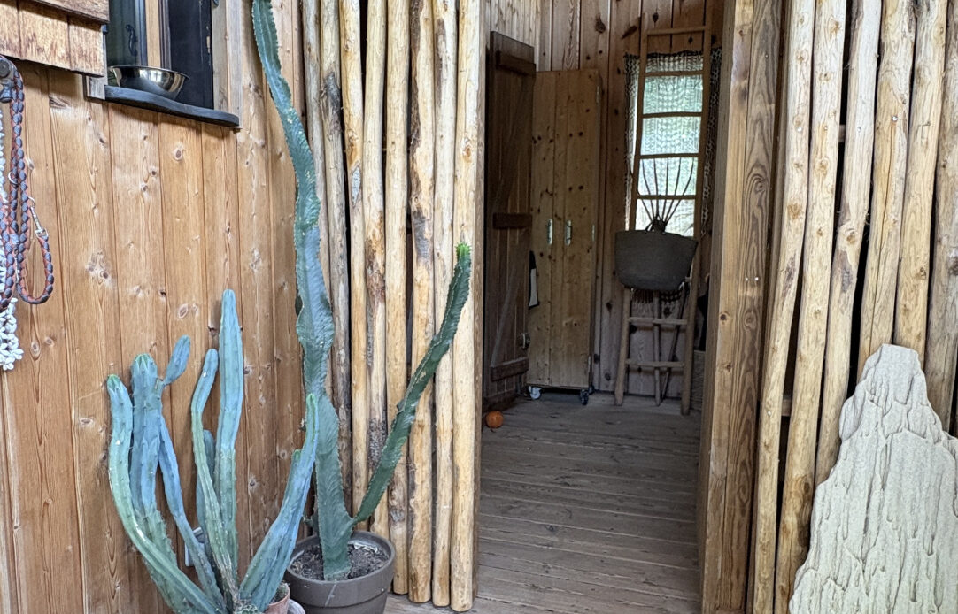 08063218.jpg